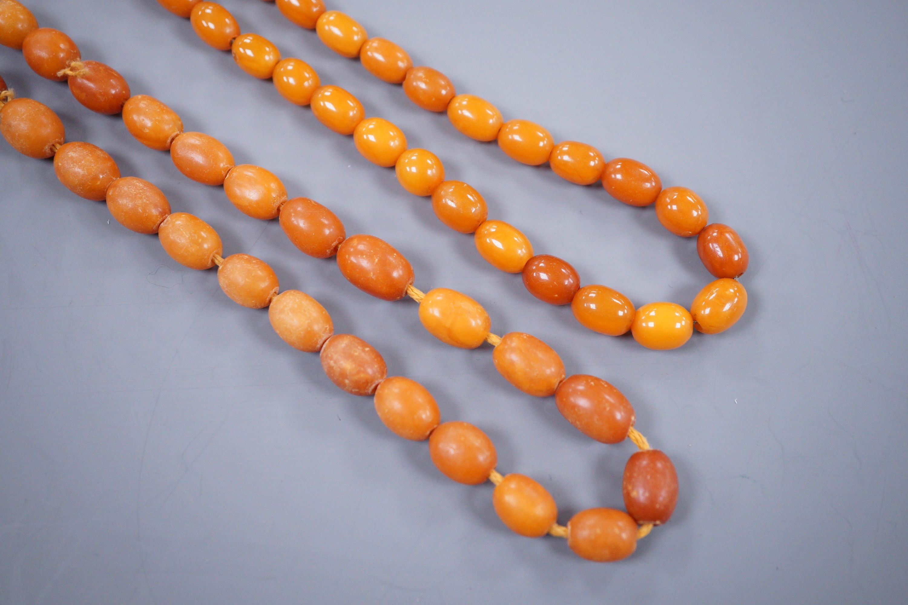 Two single strand amber bead necklaces, gross 26 grams and 17.6 grams